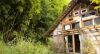 pieu-house-bamboo-forest - ảnh nhỏ 2